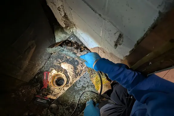 Professional pipe cleaning
